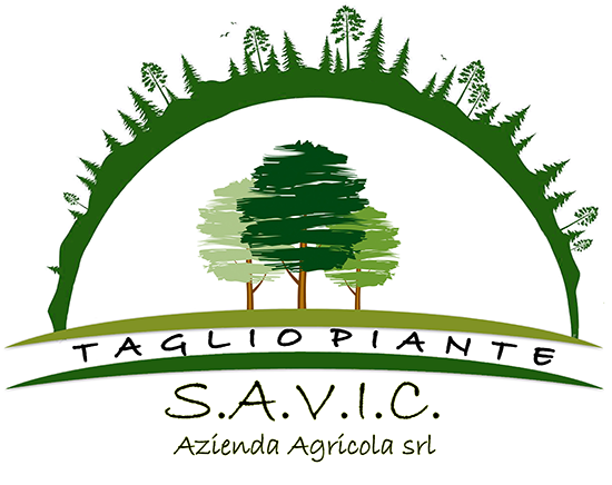 Savic Logo